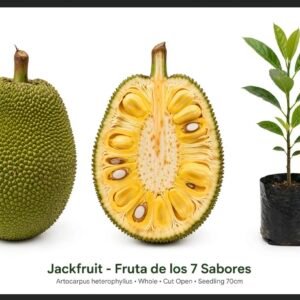 Fruta de 7 sabores yaca