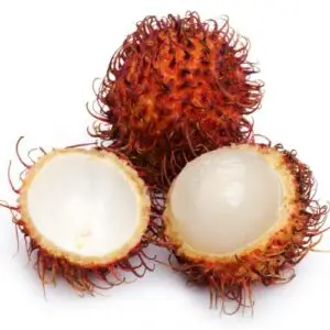 Árbol de Rambután