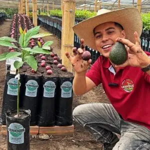 Curso de injertación