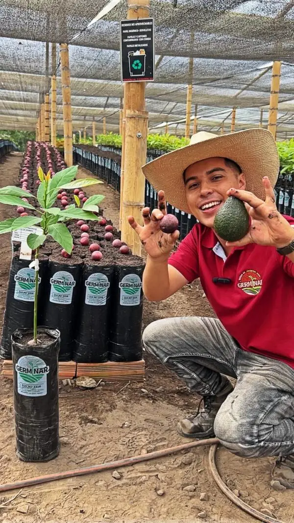Curso de injertación