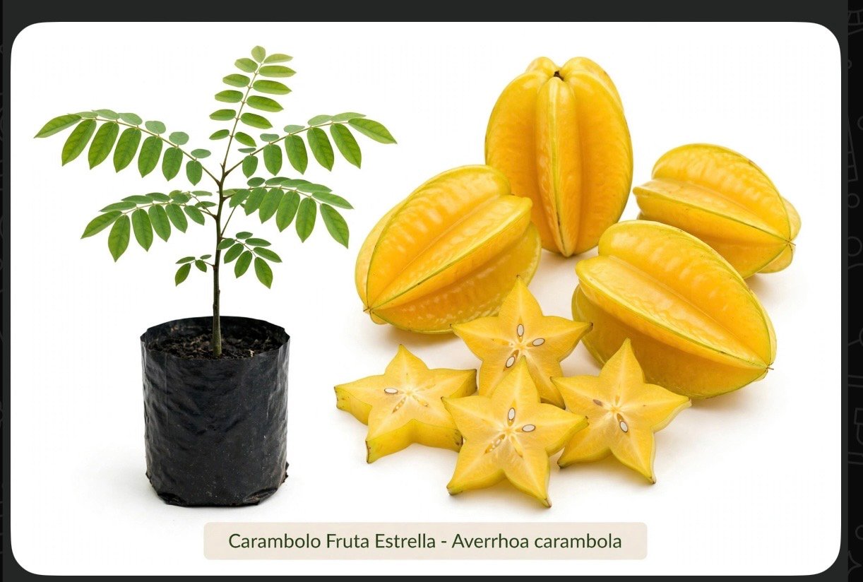 Carambolo